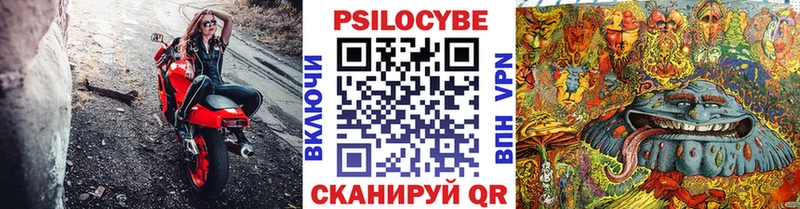 Купить  Комсомольск  Псилоцибиновые грибы мицелий 
